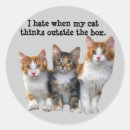 Search for hello kitty stickers Kitten