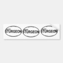 Search for diamond bumper stickers White
