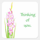 Search for pink thinking of you stickers Flowers