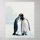 Search for affectionate posters Wildlife