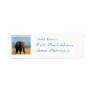Search for african elephant return address labels Elephants