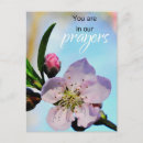 Search for congregation postcards Nature