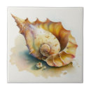 Search for shell the tiles Sea life