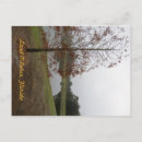 Search for scenes postcards Florida