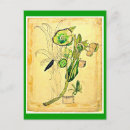 Search for charles rennie mackintosh postcards Vintage