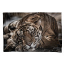 Search for fine art pillowcases Nature