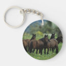 Search for mustang key rings Mountains