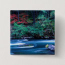 Search for fall tree badges Maple