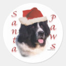 Search for landseer stickers Animals