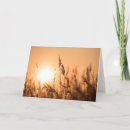 Search for reed cards Sunset