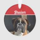 Search for boxer dog christmas tree decorations Animals