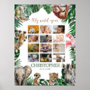 Search for tropical animal posters Welcome