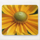 Search for gerbera mousepads Photography