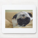 Search for pug mousepads Animal