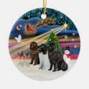 Search for newfoundland dog christmas tree decorations Dogs