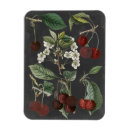 Search for varieties magnets Botanical