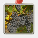 Search for grapevine christmas tree decorations Winery