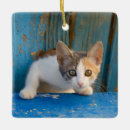 Search for calico cat christmas tree decorations Cute