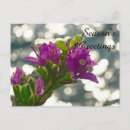 Search for seasons greetings postcards Flowers