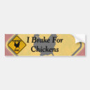 Search for chicken bumper stickers Rooster