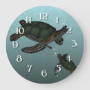 Search for turtle clocks Underwater