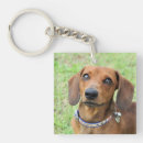 Search for dachshund key rings Canine