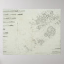 Search for scilly Map
