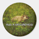 Search for hugged magnets Humour