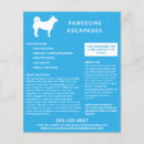 Search for dog flyers Dog walking business