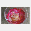 Search for closeup stickers Photography