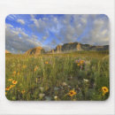 Search for the environment mousepads Usa