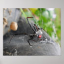 Search for black widow art Creepy