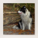 Search for collie puzzles Adorable