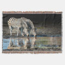 Search for equid Africa