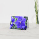 Search for all purpose cards Blue