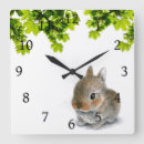 Search for hare clocks Rabbit