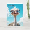 Search for funny ostrich birthday cards Bird