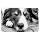 Search for working rectangular magnets Pet