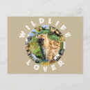 Search for elephant lovers postcards Wildlife