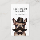 Search for pet grooming appointment cards Animal care