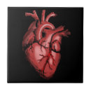 Search for imaging tiles Heart