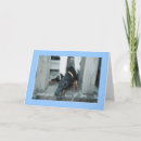 Search for doberman cards Pet