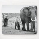 Search for african animals electronics Horizontal