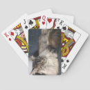 Search for maine playing cards Cat