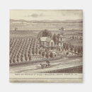 Search for two tone magnets Sepia