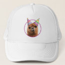 Search for alpacas hats Cute