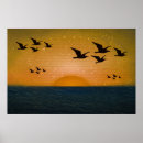 Search for sunset seascape posters Ocean