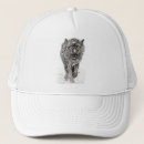 Search for black wolf hats Wildlife