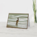 Search for pelican cards Sand