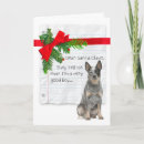 Search for cattle christmas cards Funny